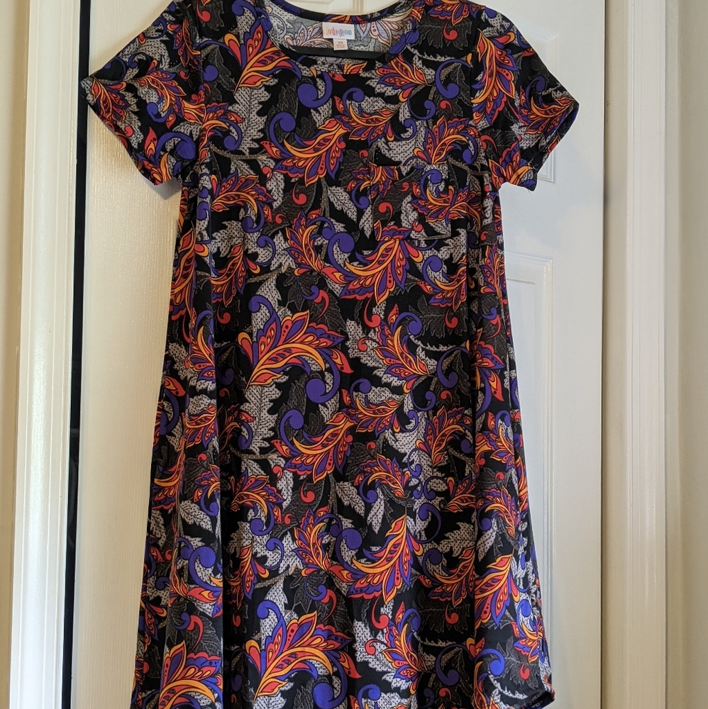 LuLaRoe Carly Dress